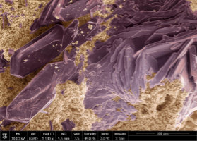 Coloured SEM image of Na2SO4 crystals in a lime-cement matrix (courtesy of D. Valdez Madrid)