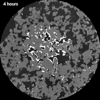 4D reconstructed X-ray micro-CT dataset of Bentheim sandstone